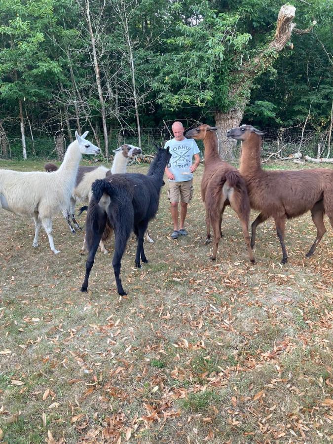 The Llama Farm France Saint-Cyr-Les-Champagnes Exterior foto
