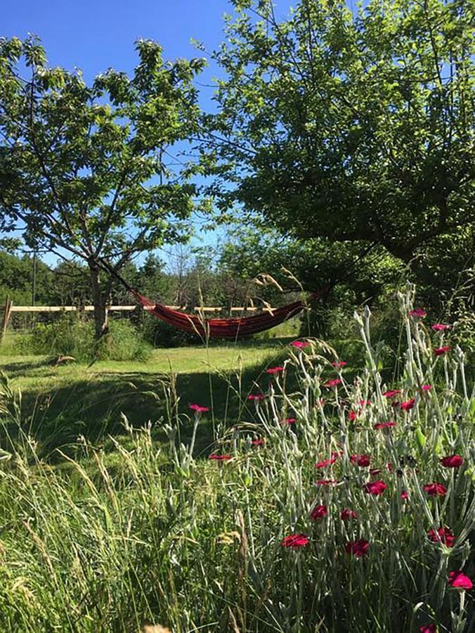 The Llama Farm France Saint-Cyr-Les-Champagnes Exterior foto