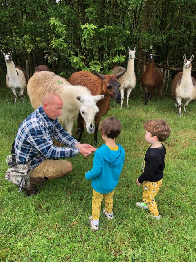 The Llama Farm France Saint-Cyr-Les-Champagnes Exterior foto
